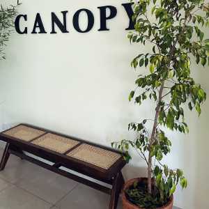 canopy09