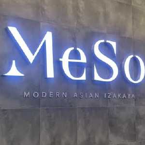 meso01