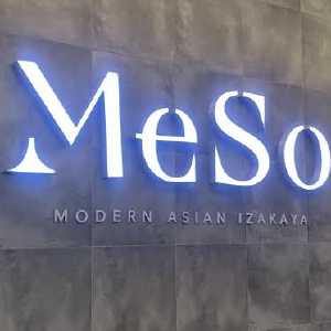 meso01 meso01