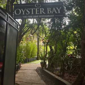 oyster04 oyster04