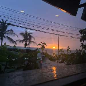 pelican-grill13