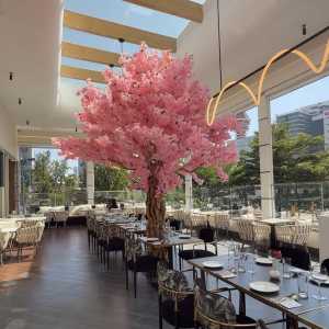 summer-lounge-01