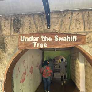 swahili-tree-01