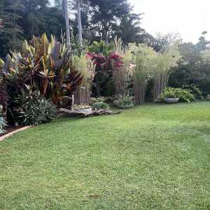 zen-garden-11